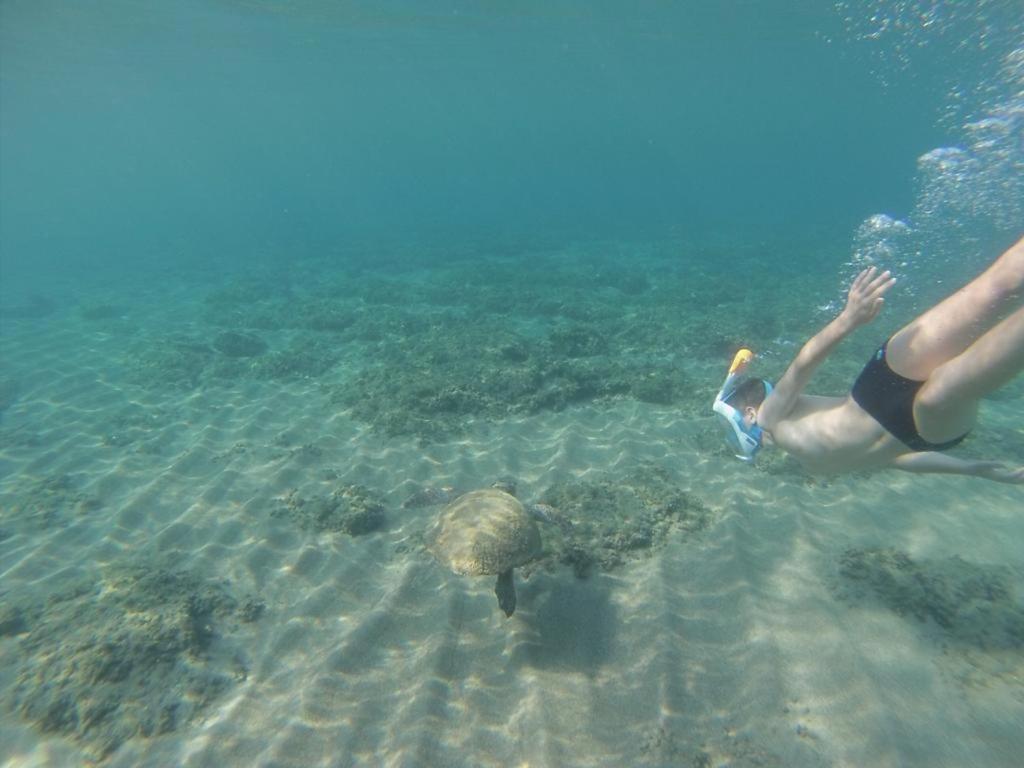 Irida Beach Resort Suites Kyparissia Dış mekan fotoğraf